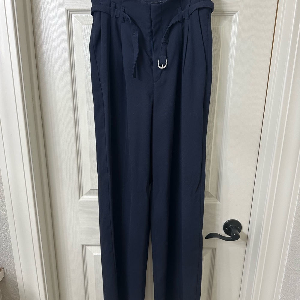 Express Navy Wide Leg Pants